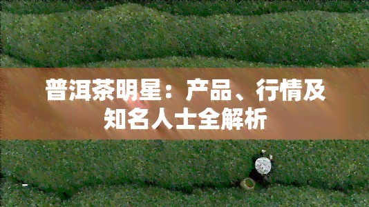 普洱茶明星：产品、行情及知名人士全解析