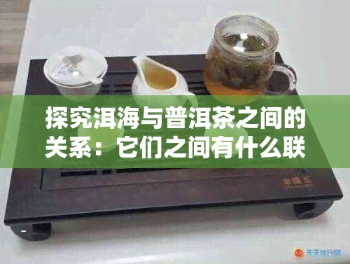 探究洱海与普洱茶之间的关系：它们之间有什么联系？