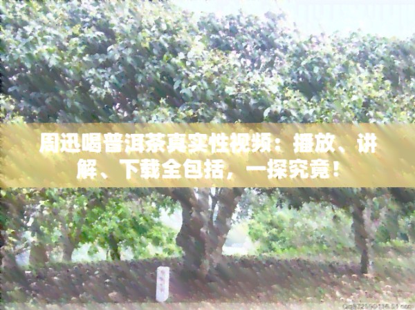 周迅喝普洱茶真实性视频：播放、讲解、下载全包括，一探究竟！