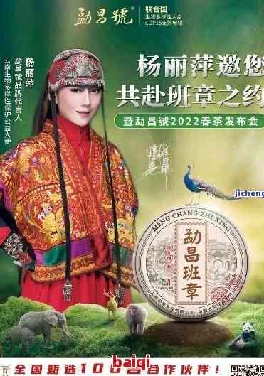 大益普洱茶代言人：揭示神秘面纱