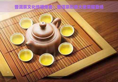 普洱茶文化传播使者:普洱茶形象大使荣耀登场