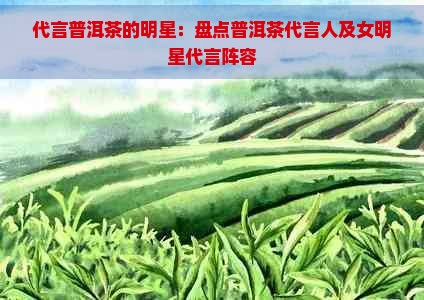 代言普洱茶的明星:盘点普洱茶代言人及女明星代言阵容