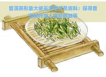 普洱茶形象大使高清照片及资料:探寻普洱茶代言人背后的故事
