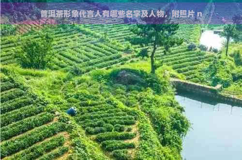 普洱茶形象代言人有哪些名字及人物,附照片 n