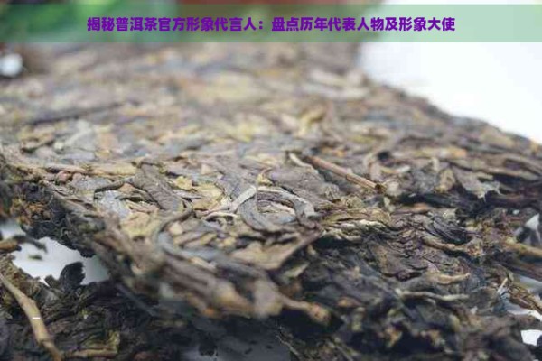 揭秘普洱茶官方形象代言人:盘点历年代表人物及形象大使