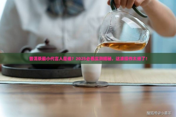 普洱茶最小代言人