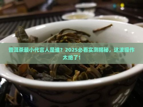 普洱茶最小代言人