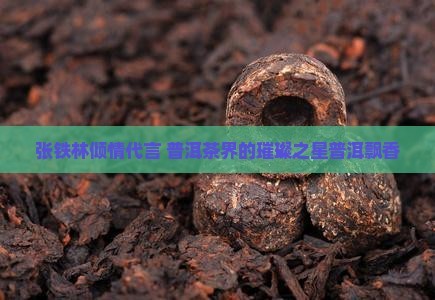 张铁林倾情代言 普洱茶界的璀璨之星普洱飘香