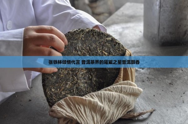 张铁林倾情代言 普洱茶界的璀璨之星普洱飘香
