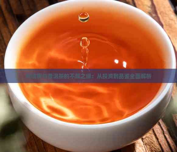 黄晓明与普洱茶的不解之缘：从投资到品鉴全面解析