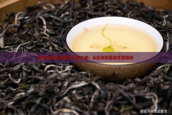 黄晓明与普洱茶的不解之缘：从投资到品鉴全面解析
