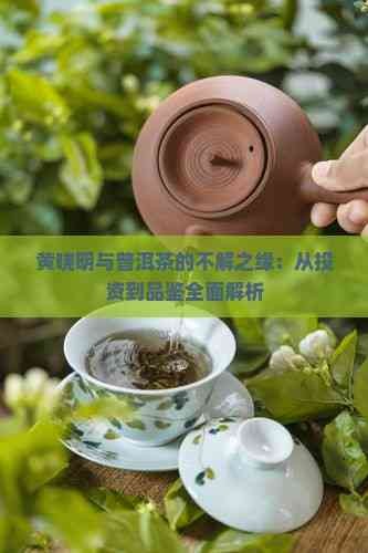 黄晓明与普洱茶的不解之缘：从投资到品鉴全面解析