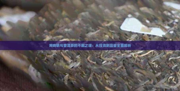 黄晓明与普洱茶的不解之缘：从投资到品鉴全面解析