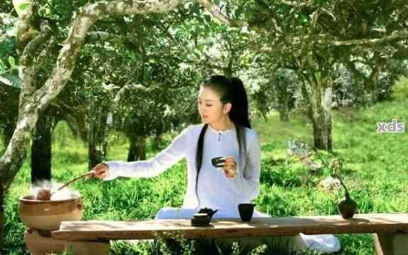 明星为何喜欢喝普洱茶