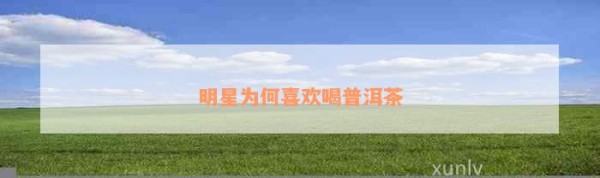 明星为何喜欢喝普洱茶