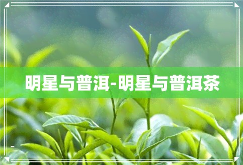 明星与普洱-明星与普洱茶