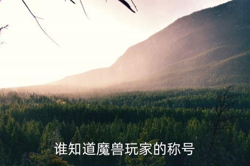 谁知道魔兽玩家的称号