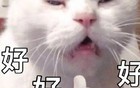 女神龙爱上大佬男情人的瓜