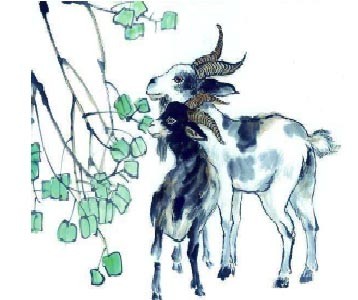 生肖羊.jpg