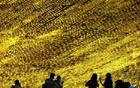 甘肃敦煌：四万盏太阳能灯点亮鸣沙山