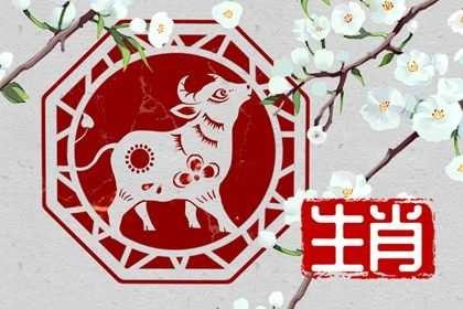 属牛_生肖牛