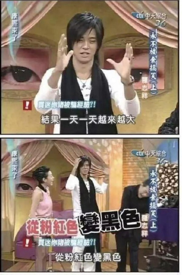 明星也养猪？罗志祥迷你猪暴风成长，井柏然的小香猪可爱！