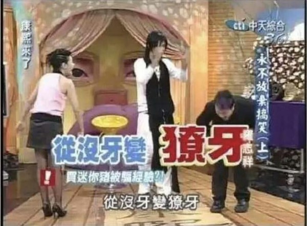 明星也养猪？罗志祥迷你猪暴风成长，井柏然的小香猪可爱！