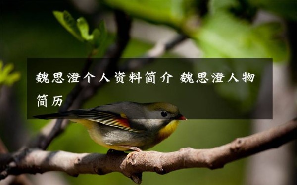 魏思澄个人资料简介 魏思澄人物简历