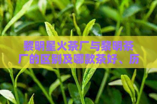 黎明星火茶厂与黎明茶厂的区别及哪款茶好、历史对比分析