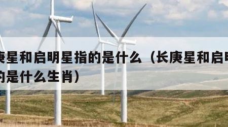 长庚星和启明星指的是什么（长庚星和启明星指的是什么生肖）