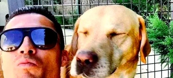 足球巨星与爱犬的温馨故事