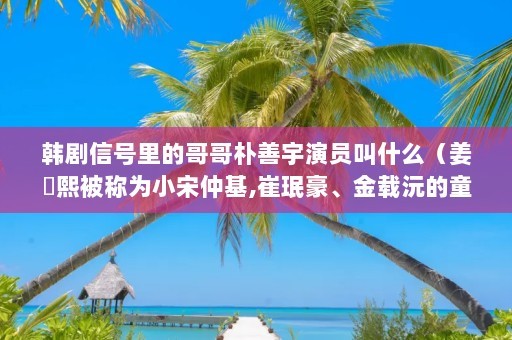 韩剧信号里的哥哥朴善宇演员叫什么（姜澯熙被称为小宋仲基,崔珉豪、金载沅的童年时期都是由他饰演）