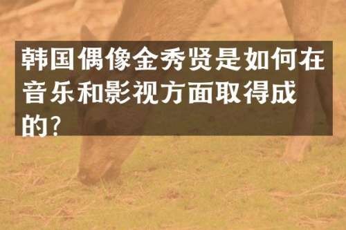 韩国偶像金秀贤是如何在音乐和影视方面取得成功的？