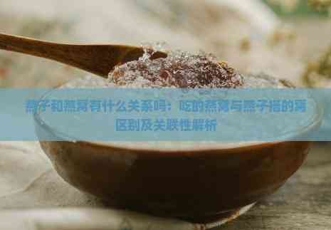 燕子和燕窝有什么关系吗：吃的燕窝与燕子搭的窝区别及关联性解析