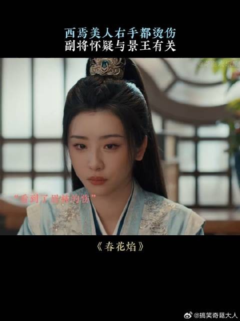 西焉美人右手都烫伤，副将怀疑与景王有关
