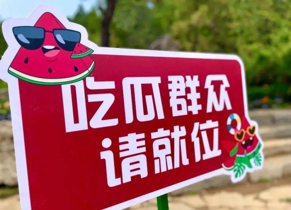 明星之间的复杂情仇与动态：许凯、赵晴及更多内幕揭秘