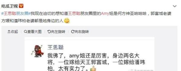 一位嫁给潘玮柏，另一位嫁给郭富城，王思聪口中的Amy姐真不简单