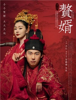 赘婿