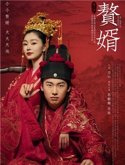 赘婿第二季