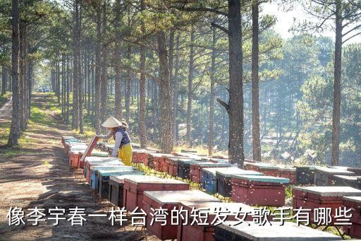 短发明星，像李宇春一样台湾的短发女歌手有哪些