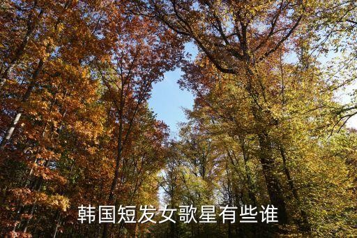 韩国短发女歌星有些谁