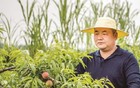 来自湖北！雷军、郑钦文等现身