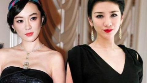 为什么说嗯哼长得像王中磊？霍思燕和王中磊恋情私交绯闻天涯扒皮