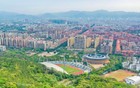 广东一地15名干部主动投案