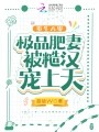 重生八零:极品肥妻被糙汉宠上天