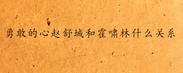 勇敢的心赵舒城和霍啸林关系