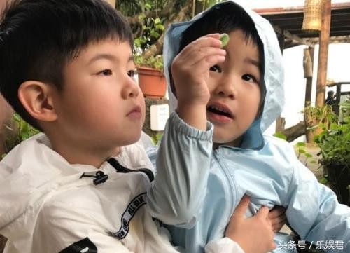 沙溢又坑娃了：安吉小鱼儿都是单眼皮，原来沙溢割过的
