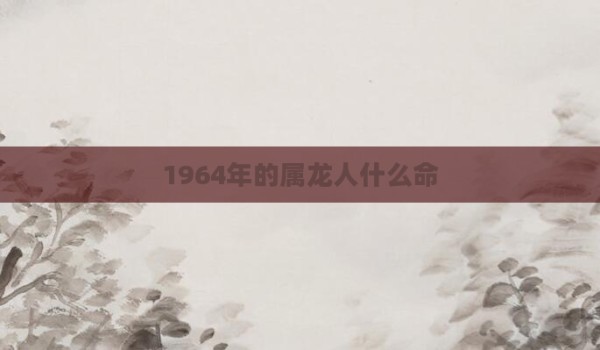 1964年的属龙人什么命