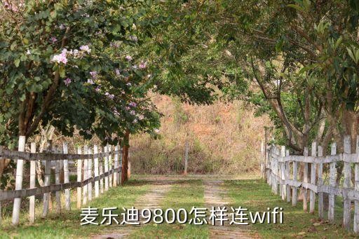  麦乐迪9800怎样连wifi