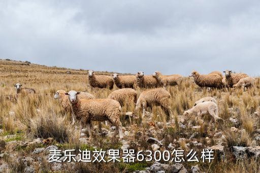  麦乐迪效果器6300怎么样